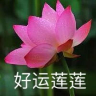 北京土拍冷热分化 河北鑫界“夺食”金鱼池地块，指导单价15万